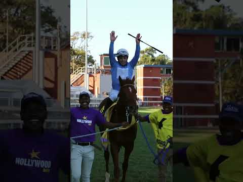 Charles Dickens is just incredible! Gr1 Hollywoodbets Gold Challenge 2023