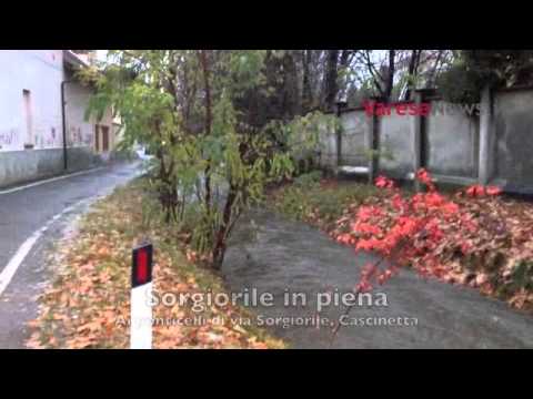 Arnetta e Sorgiorile in piena a Gallarate