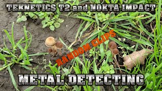 Metal Detecting: Random Clips - Teknetics T2 and NoktaMakro Impact