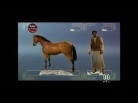 Das geheime Wissen des Islam - Welt der Wunder