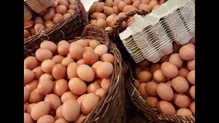 Allarme Salmonella: uova contaminate ritirate dal mercato - ECCO IL LOTTO