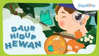 Download lagu Inilah Daur Hidup Hewan yang Kamu Perlu Tau! | IPA | SayaBisa mp3