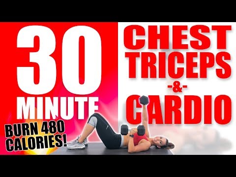 30 Minute Chest, Triceps, and Cardio Workout 🔥Burn 350 Calories!🔥