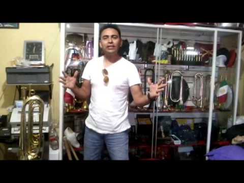 Cuales son los Instrumentos de la BG