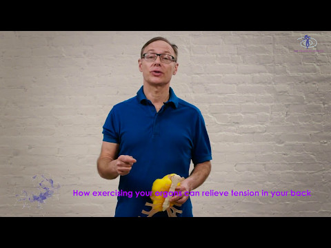 Exercise your organs: Liver Dance for a Happy Back!