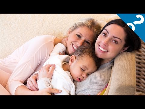 5 Gay Parenting Myths | What the Stuff?!