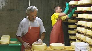 🧀 How Different Kinds of Cheese Are Made Inside a Factory | Full Manuf