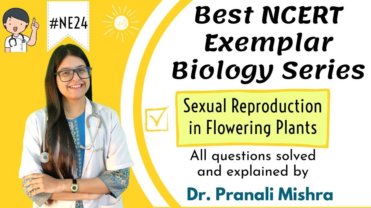 Sexual Reproduction in Flowering Plants| NCERT Exemplar | Chap 2 Class 12th | FREE PDF DOWNLOAD
