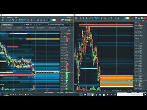 Stocks with BOOKMAP - Microsoft 2/6/2021