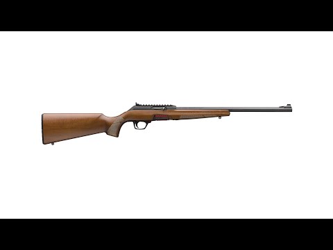 Best Budget 22lr | Winchester Xpert review