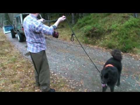 STRILA-PETTER FRA KLYPA 2009