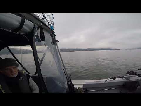 Sturgeon fishing January 1st, 2025 on Capt'n Bob's boat