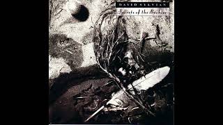David Sylvian - Waterfront