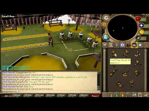How to do Agility inside the Circus properly [9,9k exp]