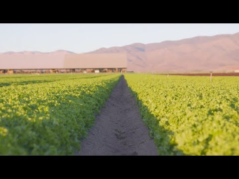 Sustainability (Overview)