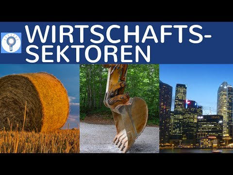 Wirtschaftssektoren einfach erklärt - Primär, Sekundär, Tertiär - Abitur Zusammenfassung