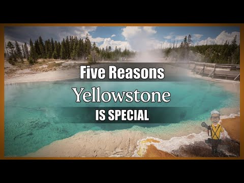 Five Reasons Yellowstone is Special