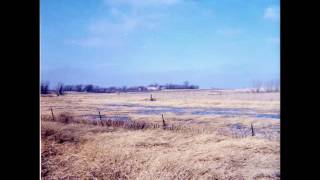 Back Where We Belong