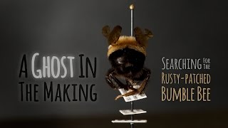 A Ghost In The Making (2016) Video