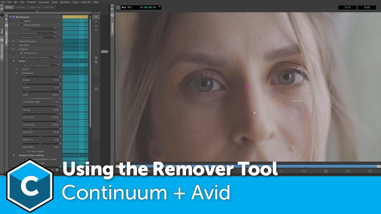 Banish Blemishes Fast: Continuum's Remover Tool inside Avid
