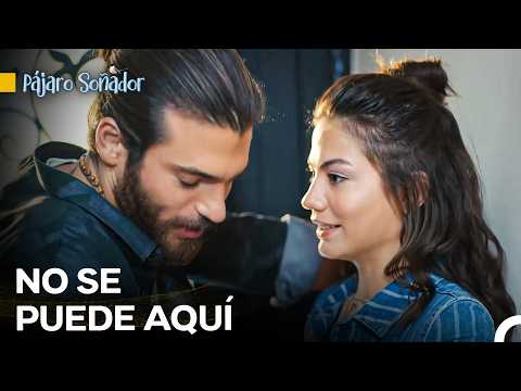 Sanem Se Volvió Loca A Can - Pájaro Soñador