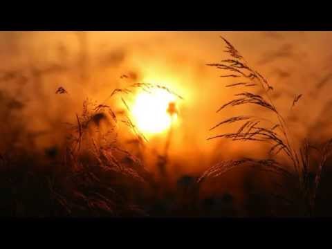 Marysia Sadowska i Gutek  _Spis treści_.failed-conv