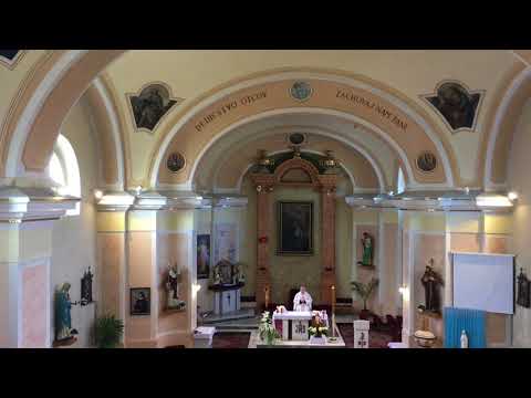 JKS 193 Aleluja, radujme sa