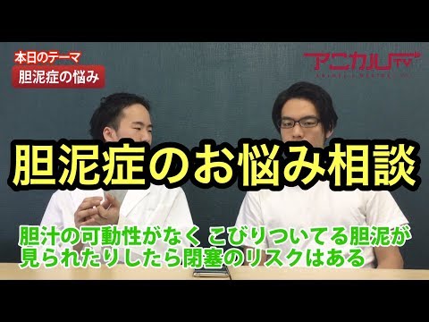 胆泥とは何か、症状、原因、治療法 - 健康ラボ