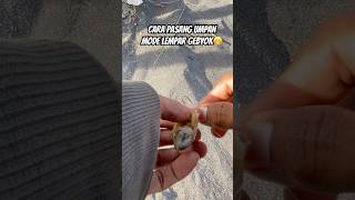 Download lagu Cara pasang umpan undur-undur laut #fishing #mancing #shorts mp3