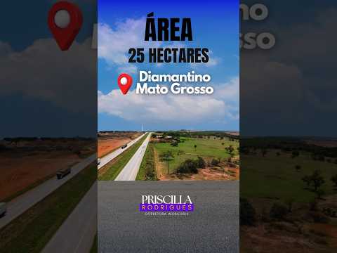 Área com 25 Hectares em Diamantino Mato Grosso - na frente da BR-163 #matogrosso #agronegocio #mt