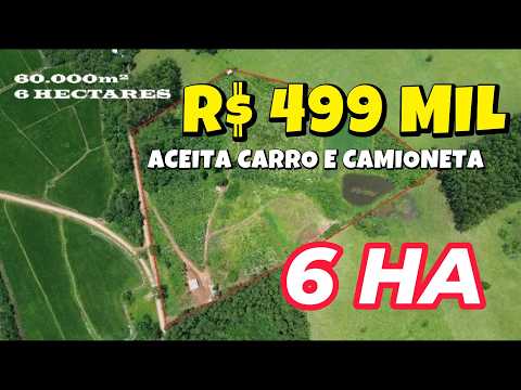 [1014] CHÁCARA EM SANTA CATARINA 6 HA, CASA, AÇUDE, BANANAL, LINDA VISTA R$ 499 MIL #chacara #sitio