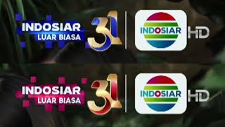 Download lagu DOGs/OSB Indosiar 31 Tahun 'Luar Biasa' (Desember 2025 - Januari 2026) mp3
