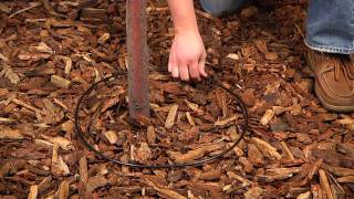 Drip Made Easy - Complete Tree &amp; Shrub Watering Kit