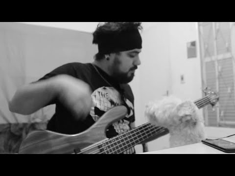 Paramore Decode COVER SCHENONEBASS