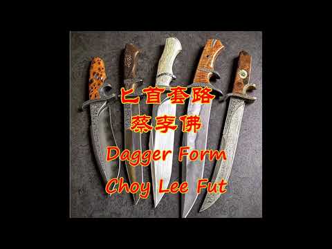 Dagger traditional form, Choy Lee Fut   蔡李佛匕首套路