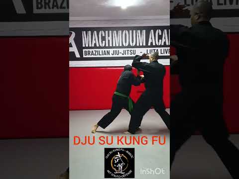 DJU SU KUNG FU