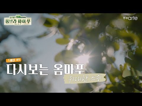 9회