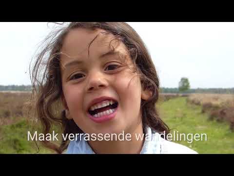 Promotiefilm Groeningen