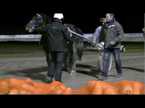 Victoria Park Wolvega Uncut, Saturday 03-12-2011.