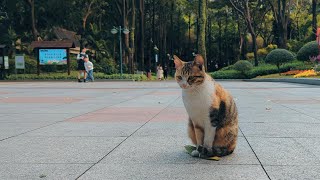 Thanks, I happened to need a leaf