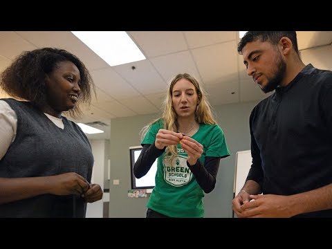 Success Story: Strategic Partnerships