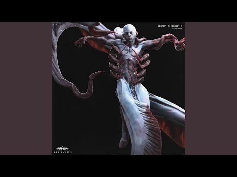 A Curse Does Not Lift For Nothing