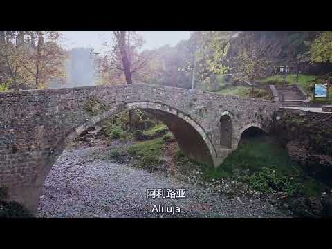 【CHI/SRP Subs】Danica Crnogorčević -  Tijelo Hristovo