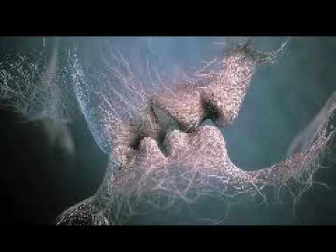 The Best Of Gai Barone (So Far) - Mixed By Robin Steele [Progressive Trance]