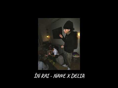 NANE X DELIA - În Rai