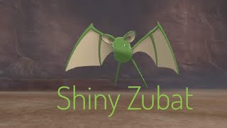 Riolu hunt phase 1 Shiny Zubat after 567 wild encounter Pokemon Sword and Shield