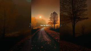 Download lagu Mujhe neend aati nahi hai akele #boldonajara #armaanmalik #lyricvideo #romanticwhatsappstatus #love mp3