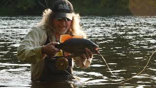 Ed Ward and Dave Pinczkowski:  Just Bassin'