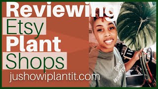 Houseplant Shopping On Etsy- Reviewing Houseplants I've Bought On Etsy, Houseplant Haul