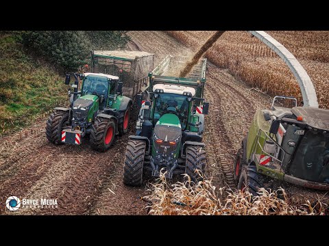 Mais-Wahnsinn 2025 / Claas Jaguar 980- Krone BIG X 1180 - John Deere 7850 - BGA Blumendorf Mais 2025